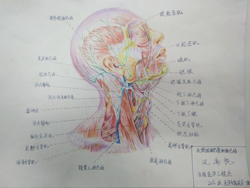 我校举办五·四系列活动之